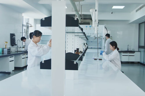 公司擁有先進(jìn)齊全的檢測(cè)儀器和現(xiàn)代化的生產(chǎn)設(shè)施