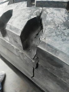 我買的是前進(jìn)輪胎廠生產(chǎn)的前進(jìn)輪胎400條1200一20當(dāng)時(shí)說好是三包輪胎在使用中外胎扎破了 能包修